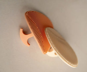 The Gentle Touch Baby Bath Brush