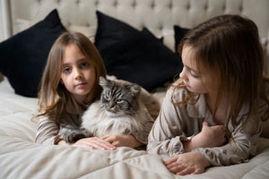 Cinereous Luxe Lounge Set - Cinereous (Preorder)