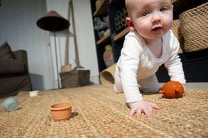 The Mushroom Teething Wand